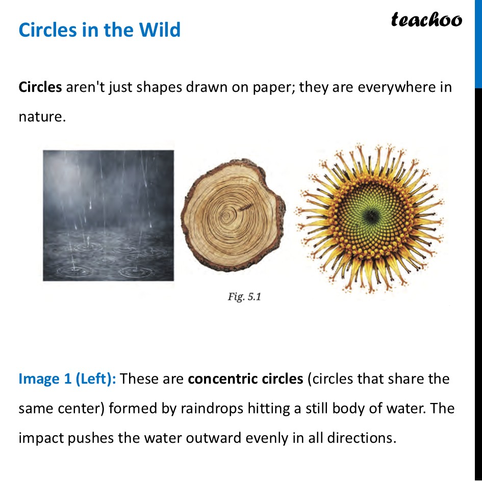 Slide3.JPG