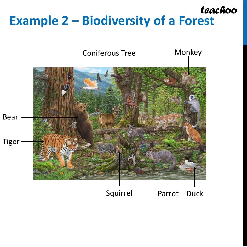 part 2 - Biodiversity - Concepts - Chapter 2 Class 6 - Diversity in the living world (Curiosity) - Class 6