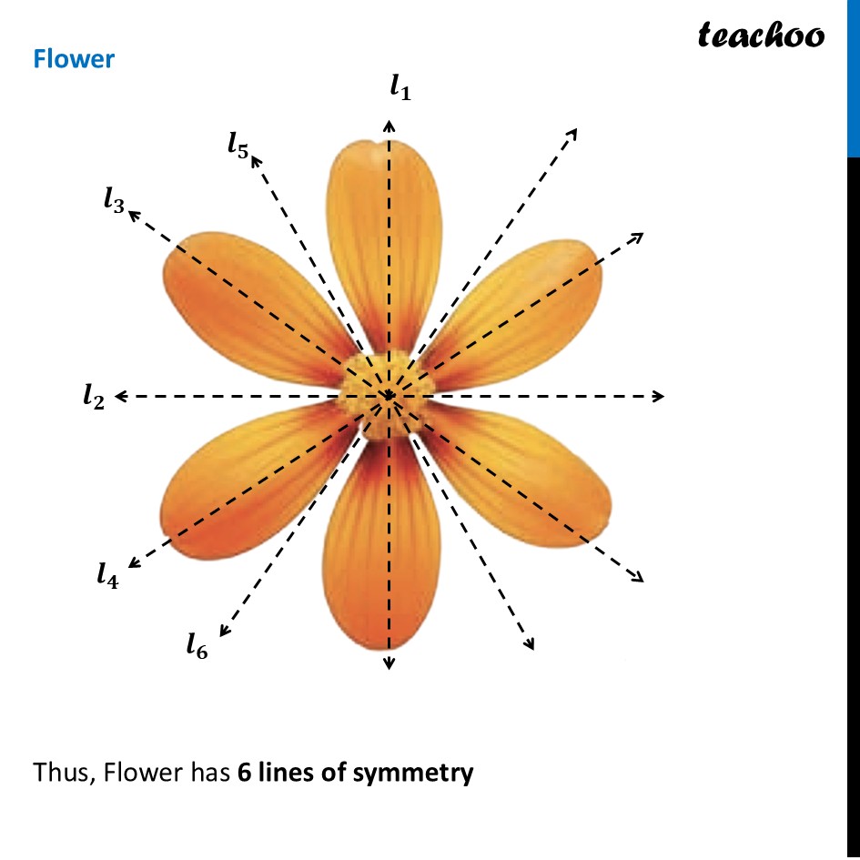 part 2 - Question 1 - Figure it out - Page 219 - Line of symmetry - Chapter 9 Class 6 - Symmetry (Ganita Prakash) - Class 6 (Ganita Prakash & Old NCERT)