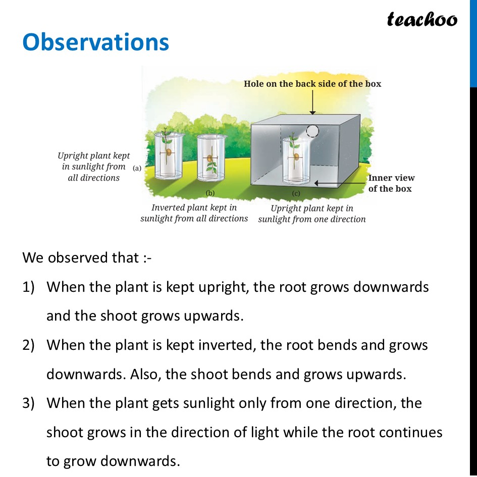 part 7 - Growth and Movement in Plants - Concepts - Chapter 10 Class 6 - Living Creatures: Exploring their Characterstics - Class 6