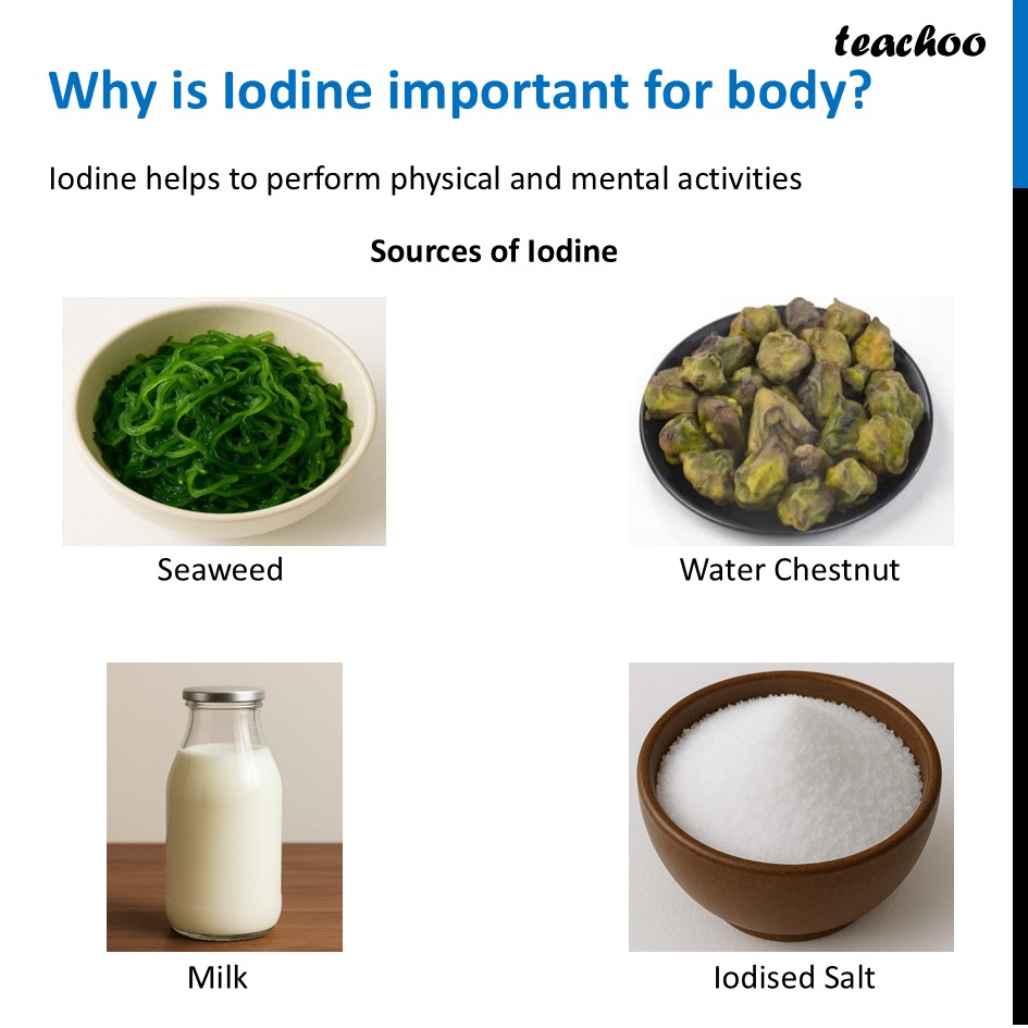 part 30 - Different Components of Food - Concepts - Chapter 3 Class 6 - Mindful Eating: A path to healthy body (Curiosity) - Class 6
