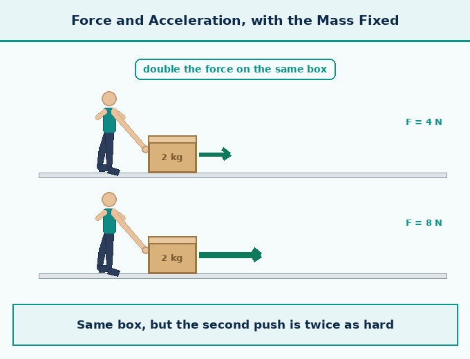 part 4 - 6.5 Newton's Second Law of Motion - Concepts - Chapter 6 - How Forces Affect Motion (Exploration) - Class 9 (Exploration)