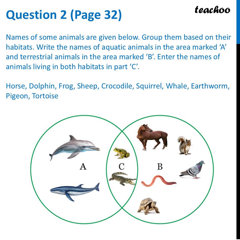 [Curiosity] Names of some animals are given below. Group them based on - Questions at the end of chapter (Page 31, 32 & 33)