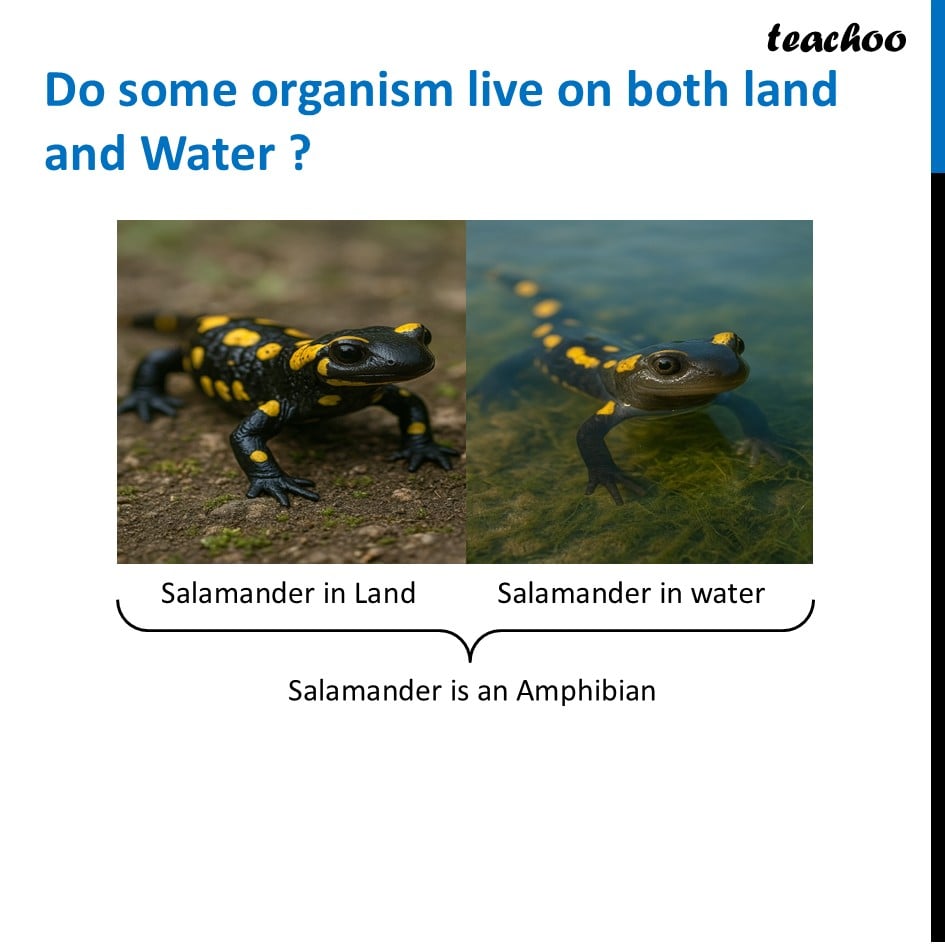part 11 - Habitat - Concepts - Chapter 2 Class 6 - Diversity in the living world (Curiosity) - Class 6