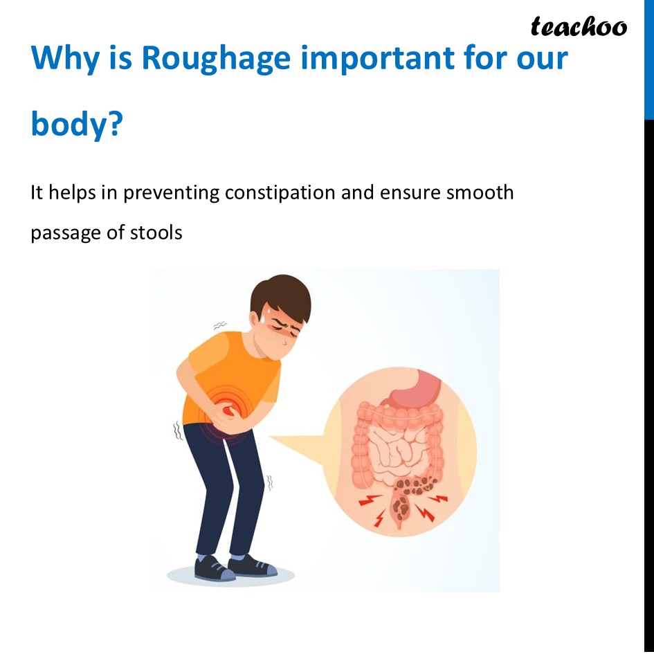 part 41 - Different Components of Food - Concepts - Chapter 3 Class 6 - Mindful Eating: A path to healthy body (Curiosity) - Class 6