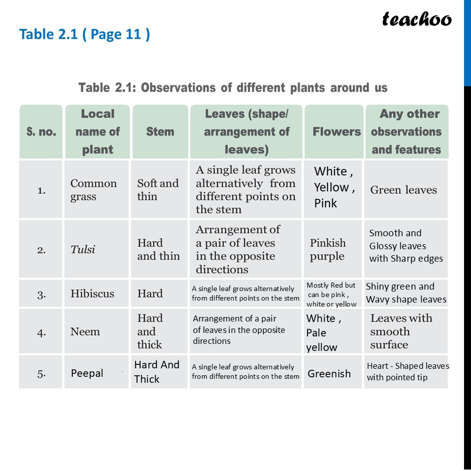 part 7 - Meaning of Diversity - Concepts - Chapter 2 Class 6 - Diversity in the living world (Curiosity) - Class 6