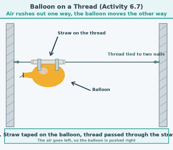 part 8 - 6.6 Newton's Third Law of Motion - Concepts - Chapter 6 - How Forces Affect Motion (Exploration) - Class 9 (Exploration)