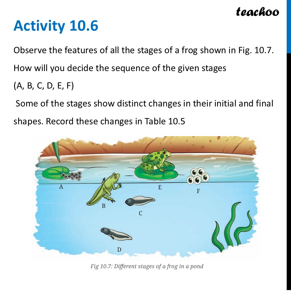 part 9 - Life Cycle of Animals - Concepts - Chapter 10 Class 6 - Living Creatures: Exploring their Characterstics - Class 6