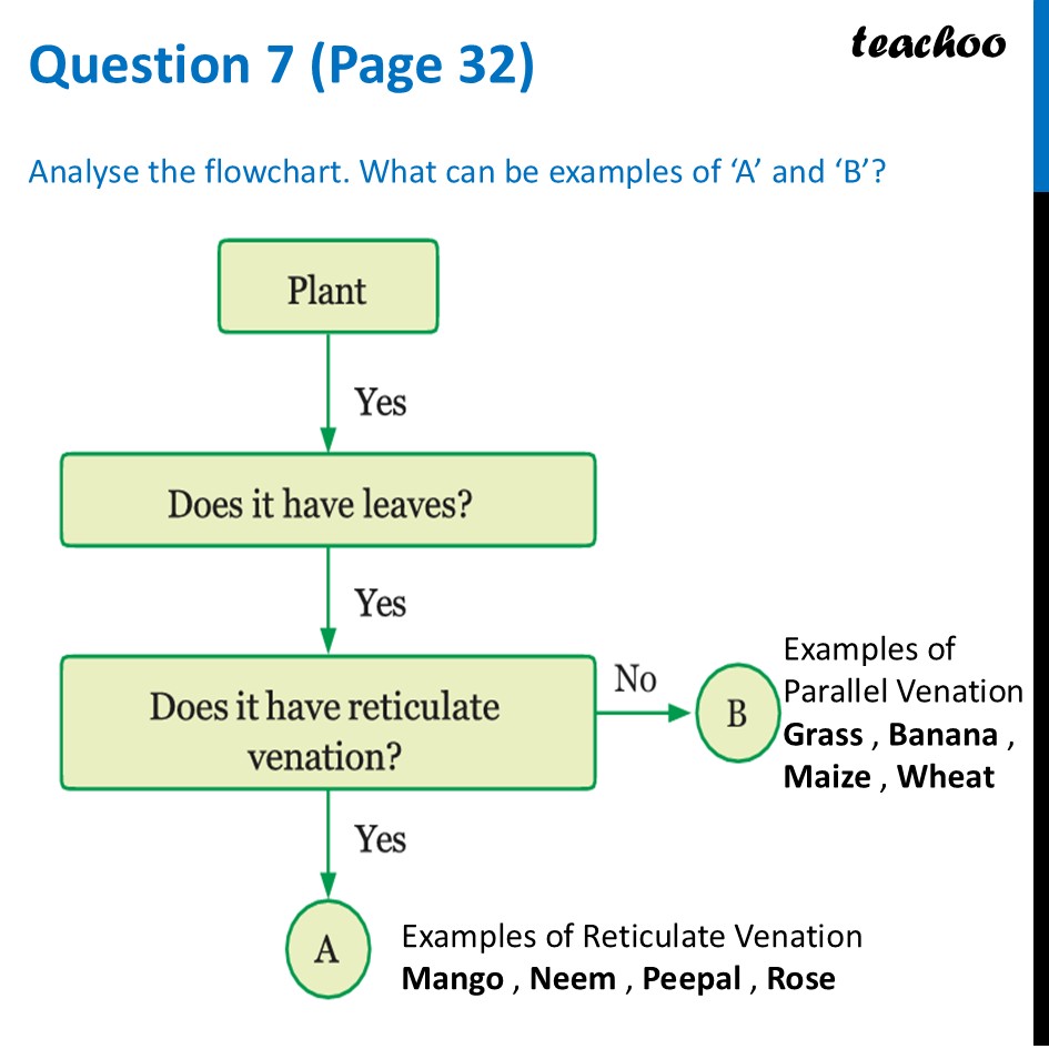 [Class 6] Analyse the flowchart. What can be examples of ‘A’ and ‘B’? - Questions at the end of chapter (Page 31, 32 & 33)
