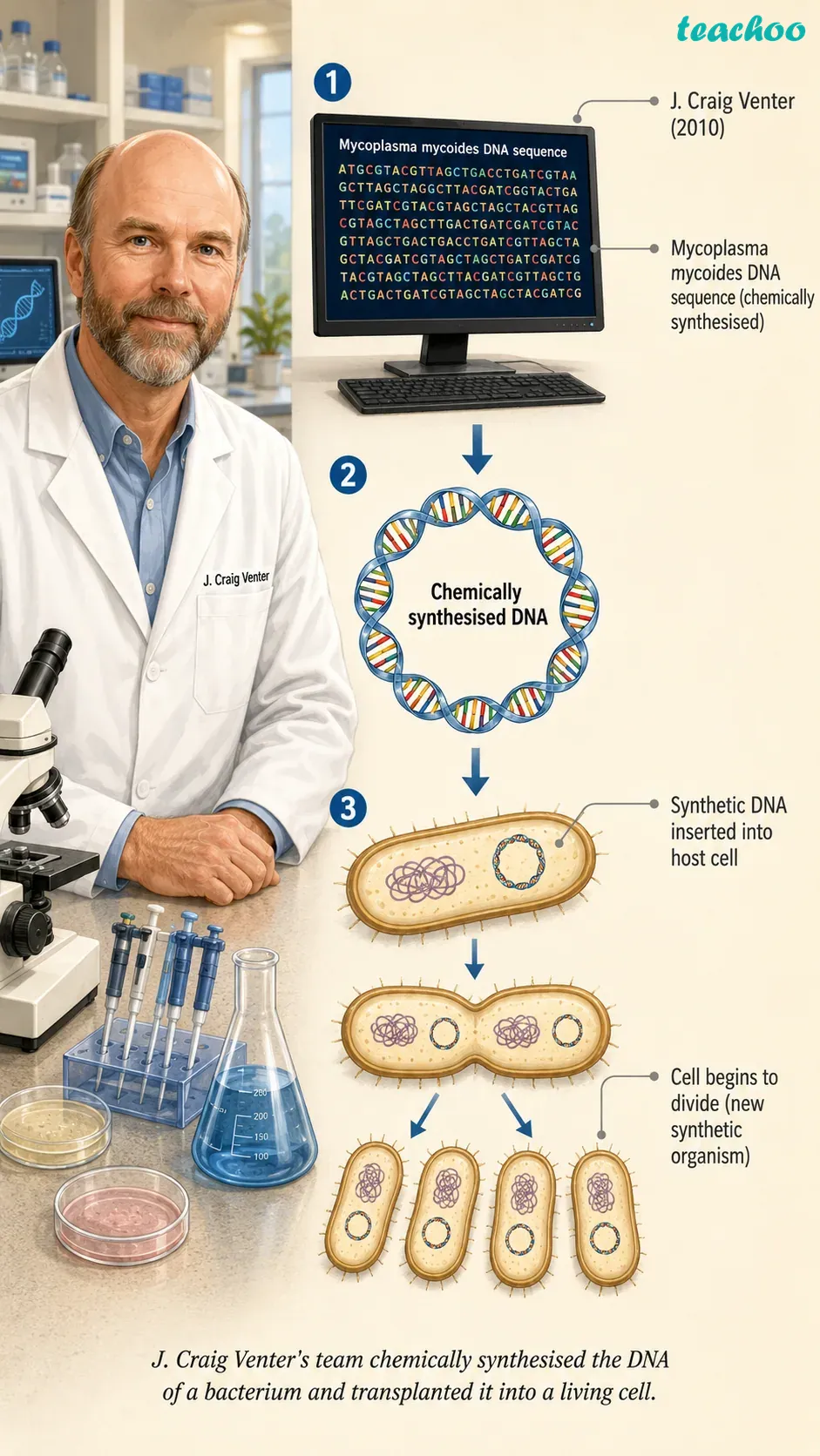 part 17 - 2.3.1 Why do eukaryotic cells need these organelles? - Concepts - Chapter 2 - Cell: The Building Block of Life (Exploration) - Class 9 (Exploration)