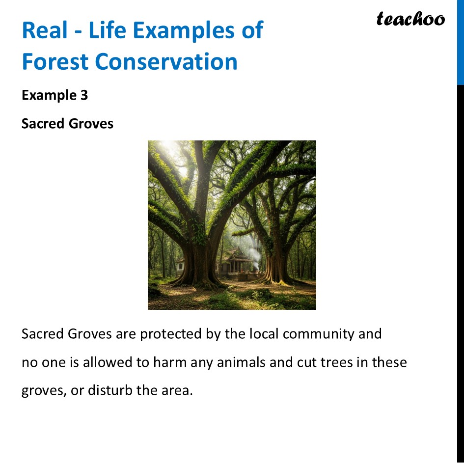 part 12 - Forests - Concepts - Chapter 11 Class 6 - Nature's Treasures (Curiosity) - Class 6