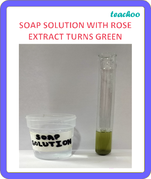 part 3 - 2.1.2 Red Rose as an Indicator - Concepts - Chapter 2 Class 7 - Exploring Substances: Acidic, Basic, and Neutral - Class 7