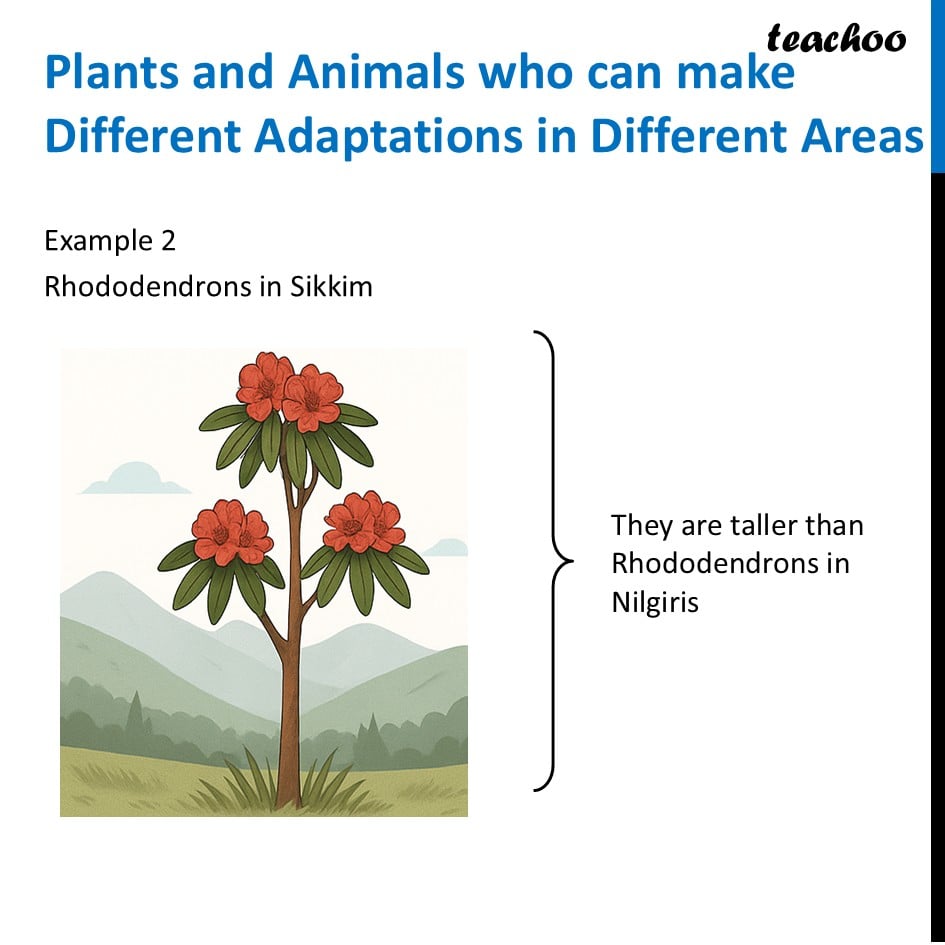 part 8 - Adaptations - Concepts - Chapter 2 Class 6 - Diversity in the living world (Curiosity) - Class 6