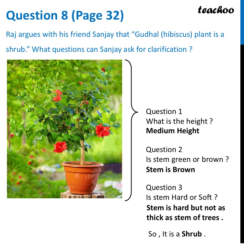 Raj argues with his friend Sanjay that “Gudhal (hibiscus) plant is a - Questions at the end of chapter (Page 31, 32 & 33)