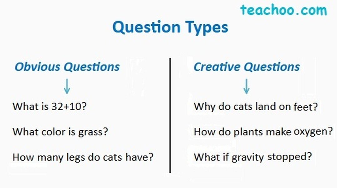Happy Exploring! Question the Answer - [Chapter 1 Class 7 Curiosity]