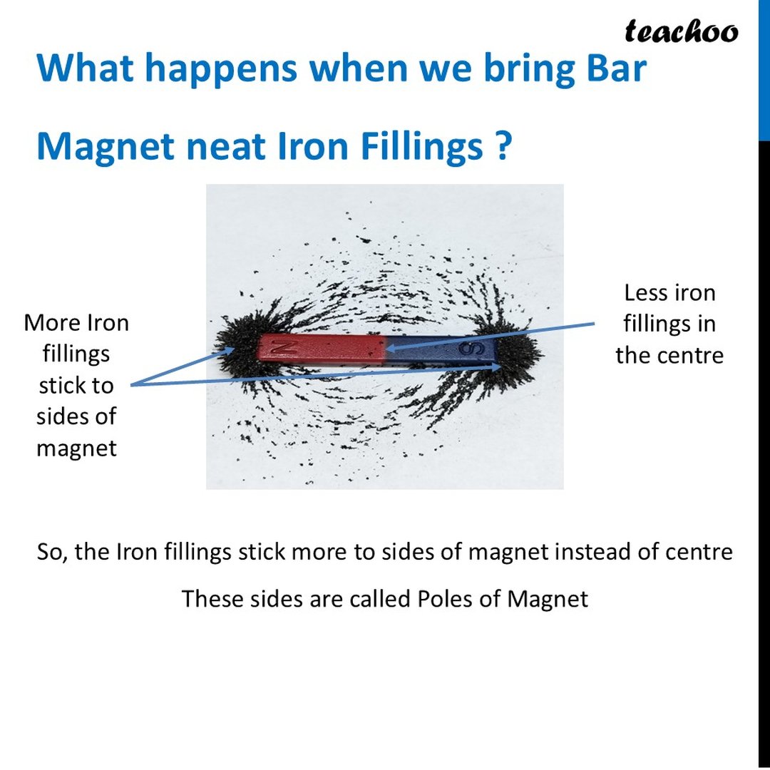 [Exploring Magnets] What are Poles of Magnet? - Class 6 Curiosity