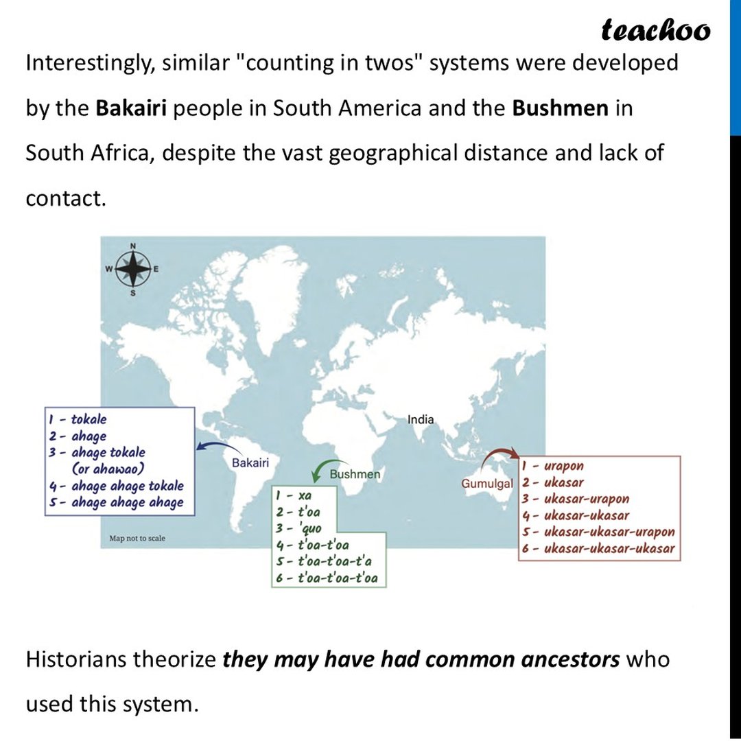 Number Names Obtained by Counting in Twos [used by Indigenous People]