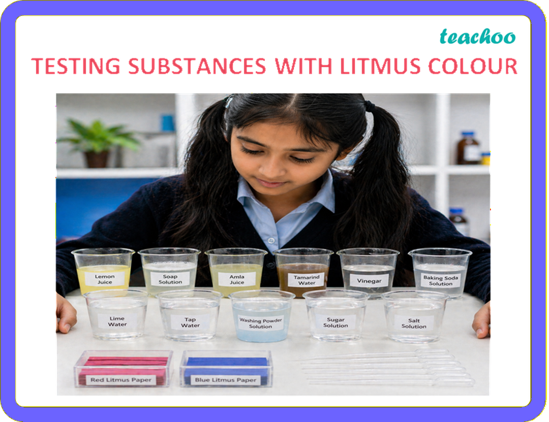 2.1.1 Litmus as an Indicator - Exploring Substances: - [Teachoo]