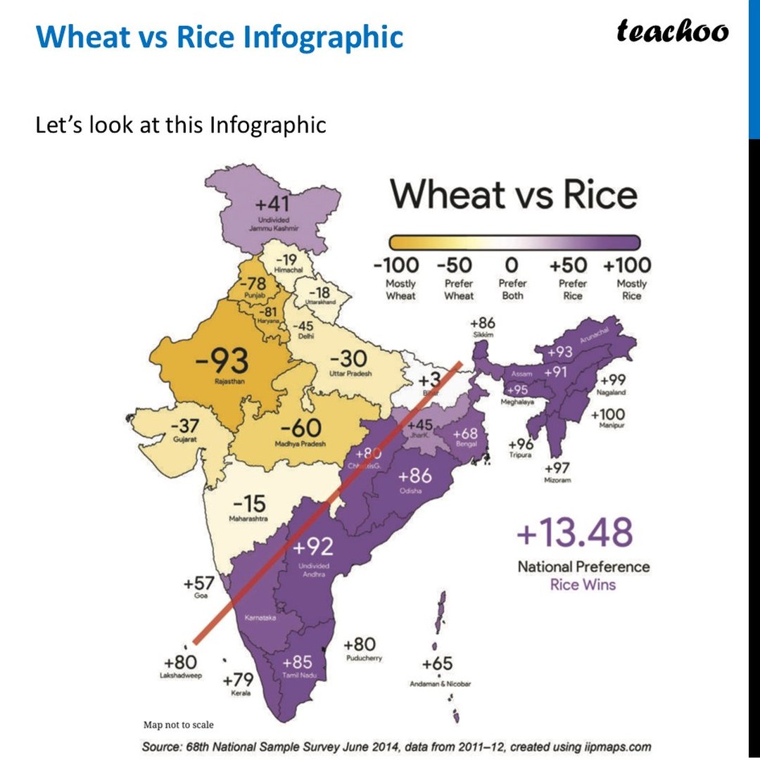 Wheat vs Rice Infographic [Class 8 Ganita Prakash II] - Teachoo