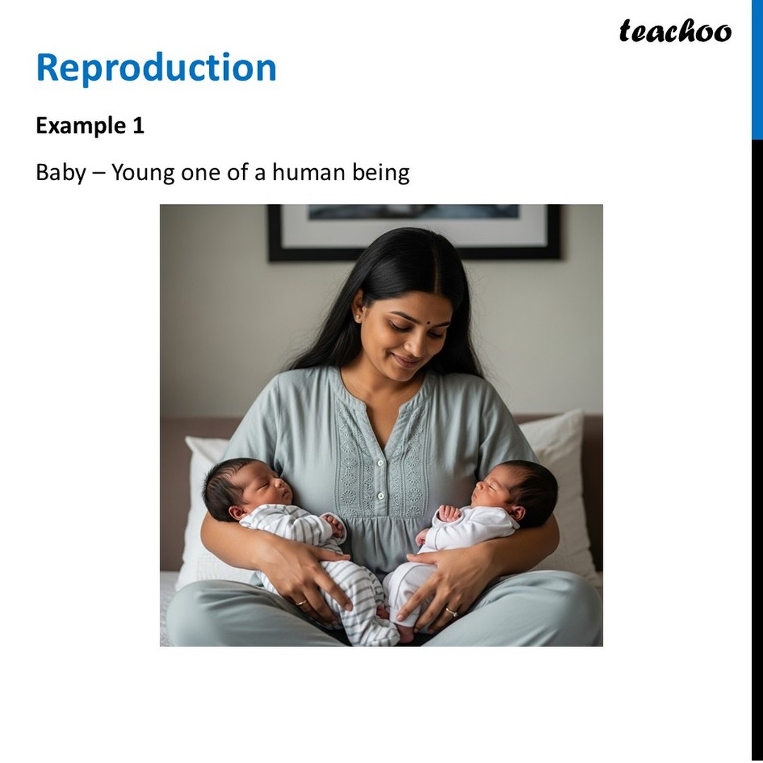 What is Reproduction? [With Example] - Class 6 Curiosity - Teachoo