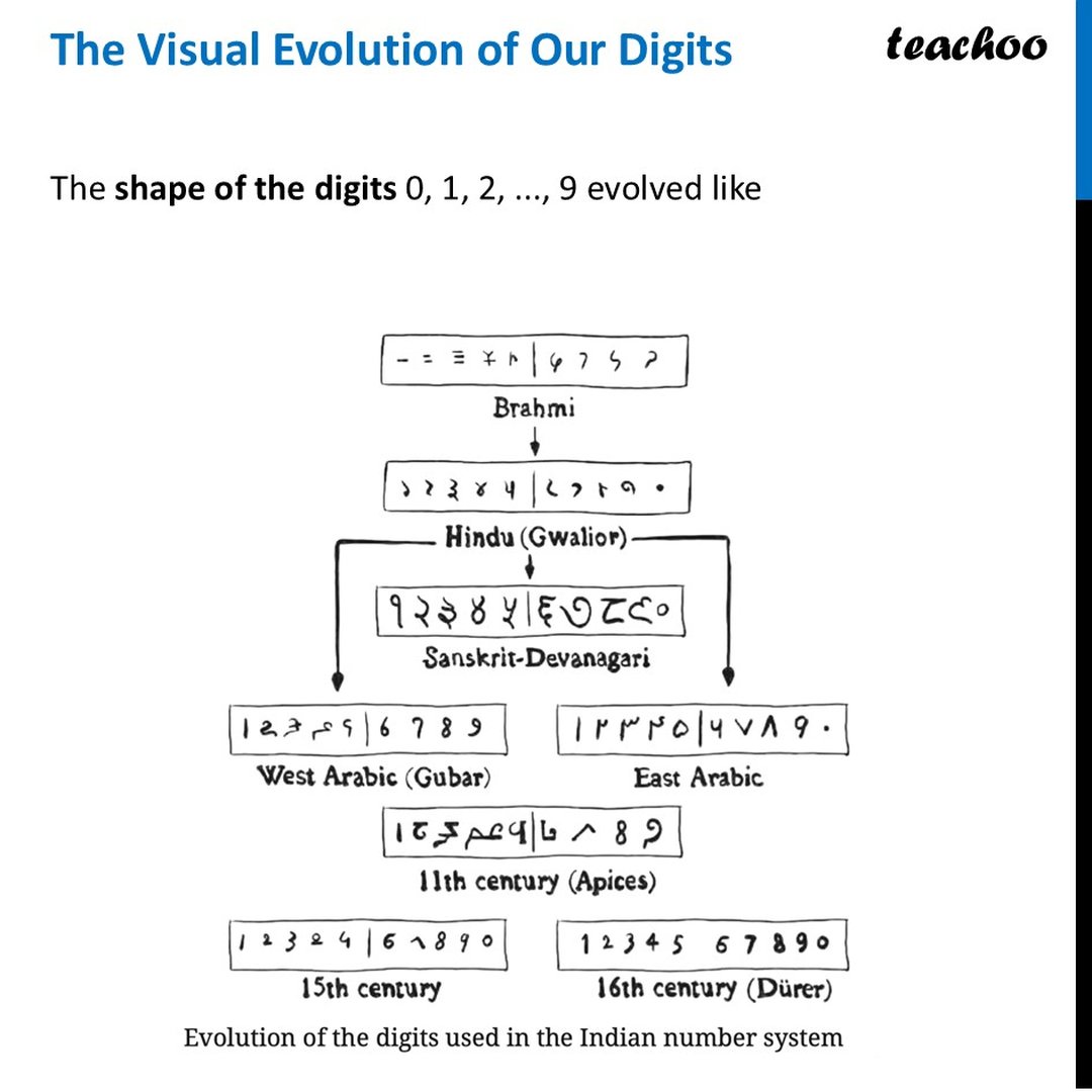The Visual Evolution of Our Digits [Ganita Prakash Class 8] - Teachoo