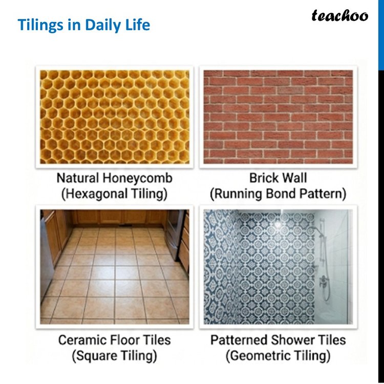 Tilings in Daily Life - Images [Constructions And Tilings] - Teachoo