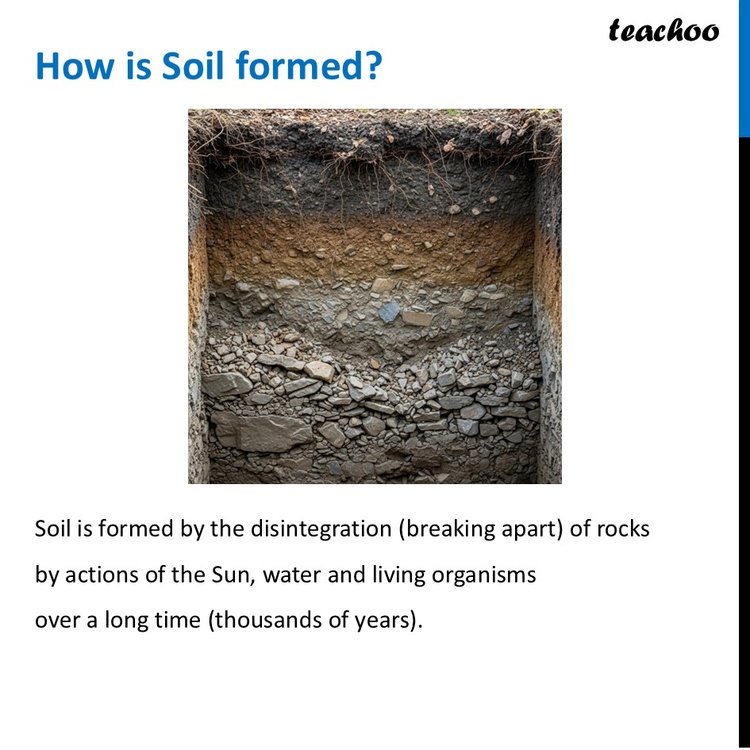 Soil, Rocks and Minerals [Class 6 Nature's Treasures] - Teachoo