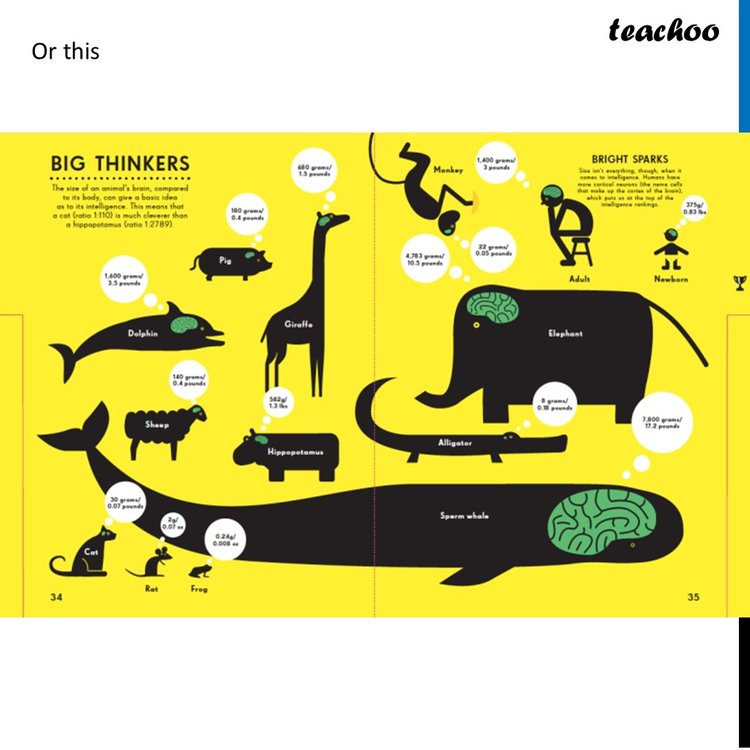 What is an Infographic? Types and Explain [with Examples] - Teachoo