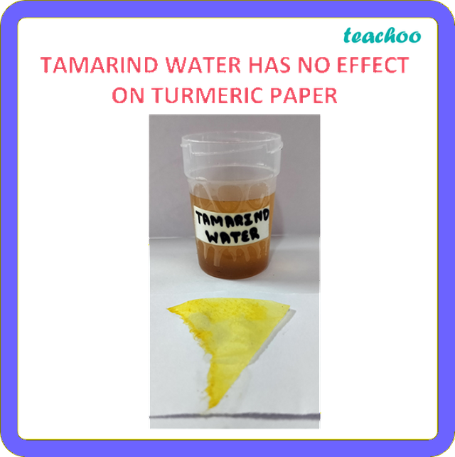 2.1.3 Turmeric as an Indicator - Exploring Substances: - [Teachoo]