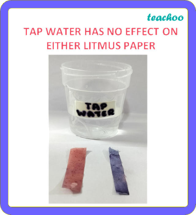 2.1.1 Litmus as an Indicator - Exploring Substances: - [Teachoo]