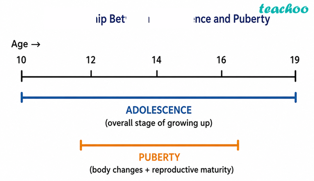 6.1 Growing With Age: The Teenag - Adolescence: A Stage o - Class 7 (C