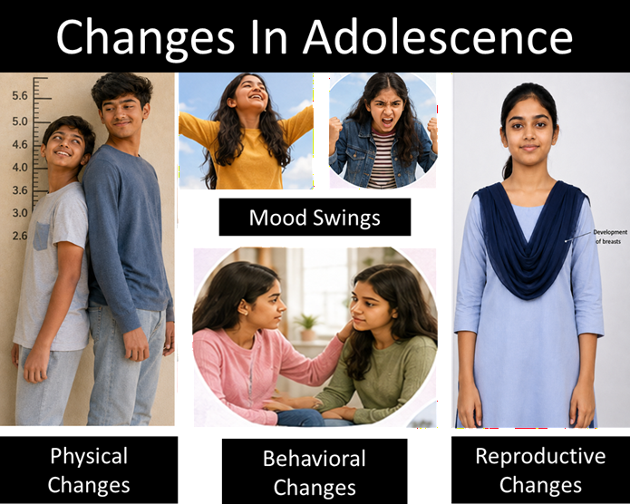 6.1 Growing With Age: The Teenag - Adolescence: A Stage o - [Teachoo] - Concepts