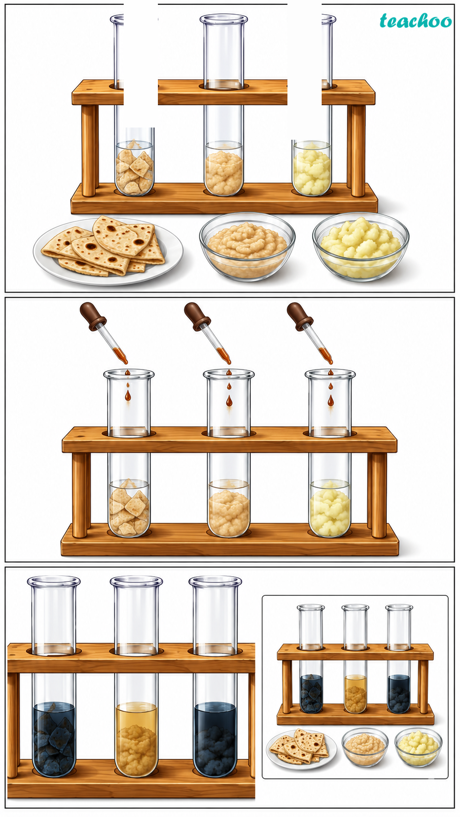 Question 2 — Sahil placed some p - Life Processes in Anim - Class 7 (C - Questions at the end of the chapter