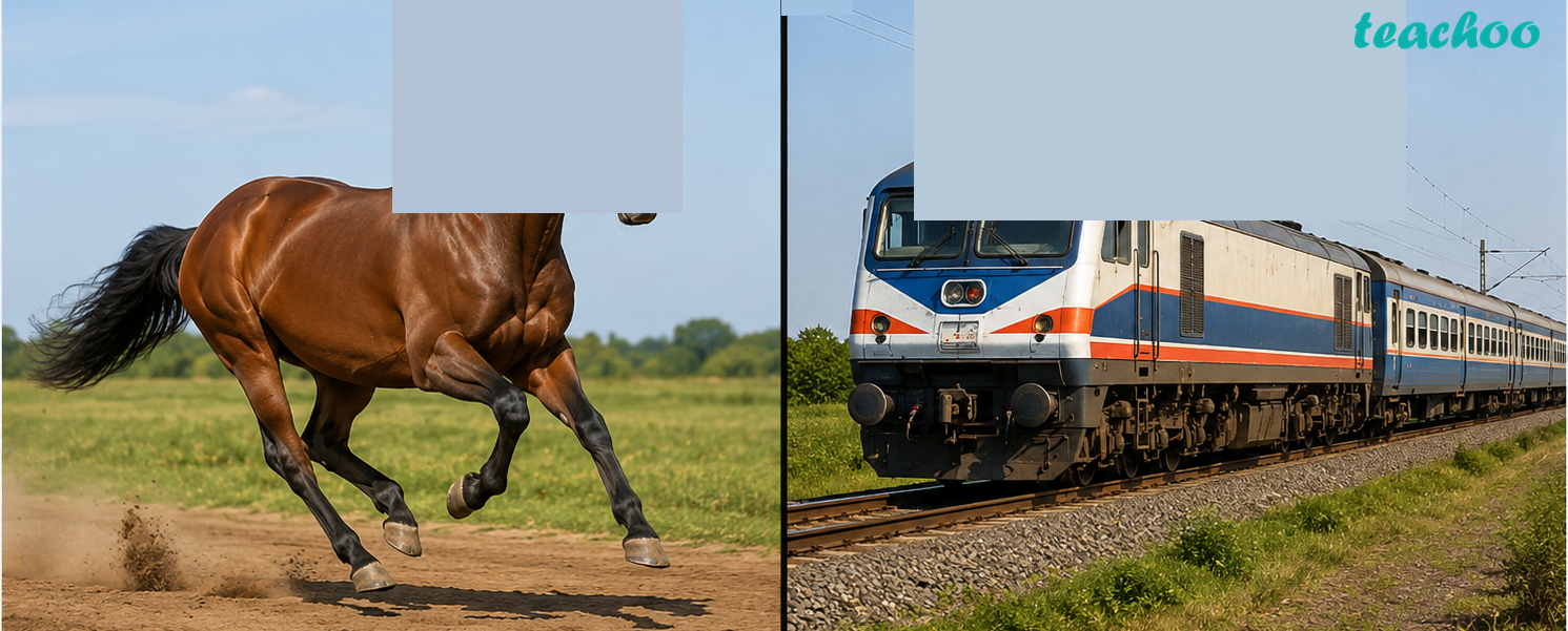 Question 5 - The fastest gallopi - Measurement of Time an - Class 7 (C - Questions at the end of the chapter