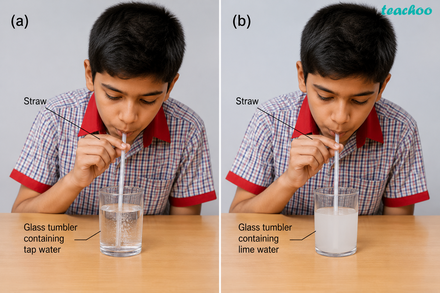 part 2 - 5.2 A Substance May Change in Appearance and Not Remain the Same! - Concepts - Chapter 5 Class 7 - Changes Around Us: Physical and Chemical (Curiosit - Class 7 (Curiosity)