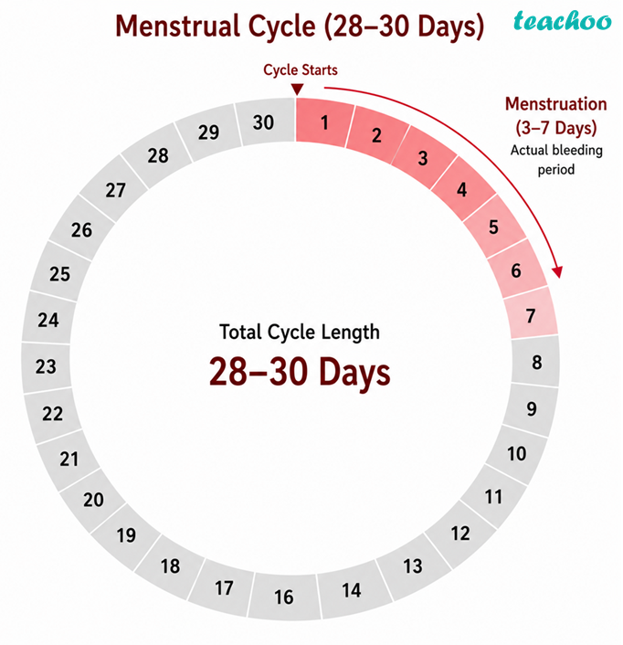 6.2 Changes that Indicate Reprod - Adolescence: A Stage o - Class 7 (C - Concepts