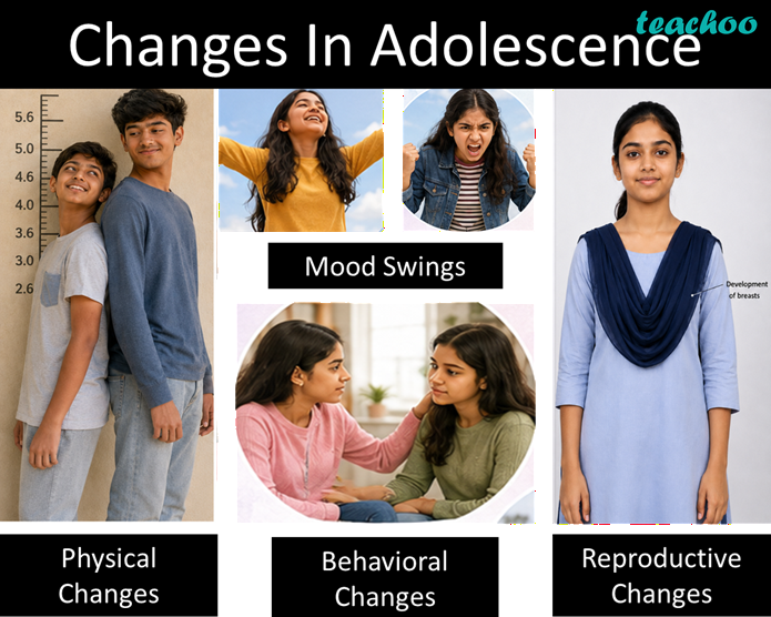 6.1 Growing With Age: The Teenag - Adolescence: A Stage o - Class 7 (C - Concepts