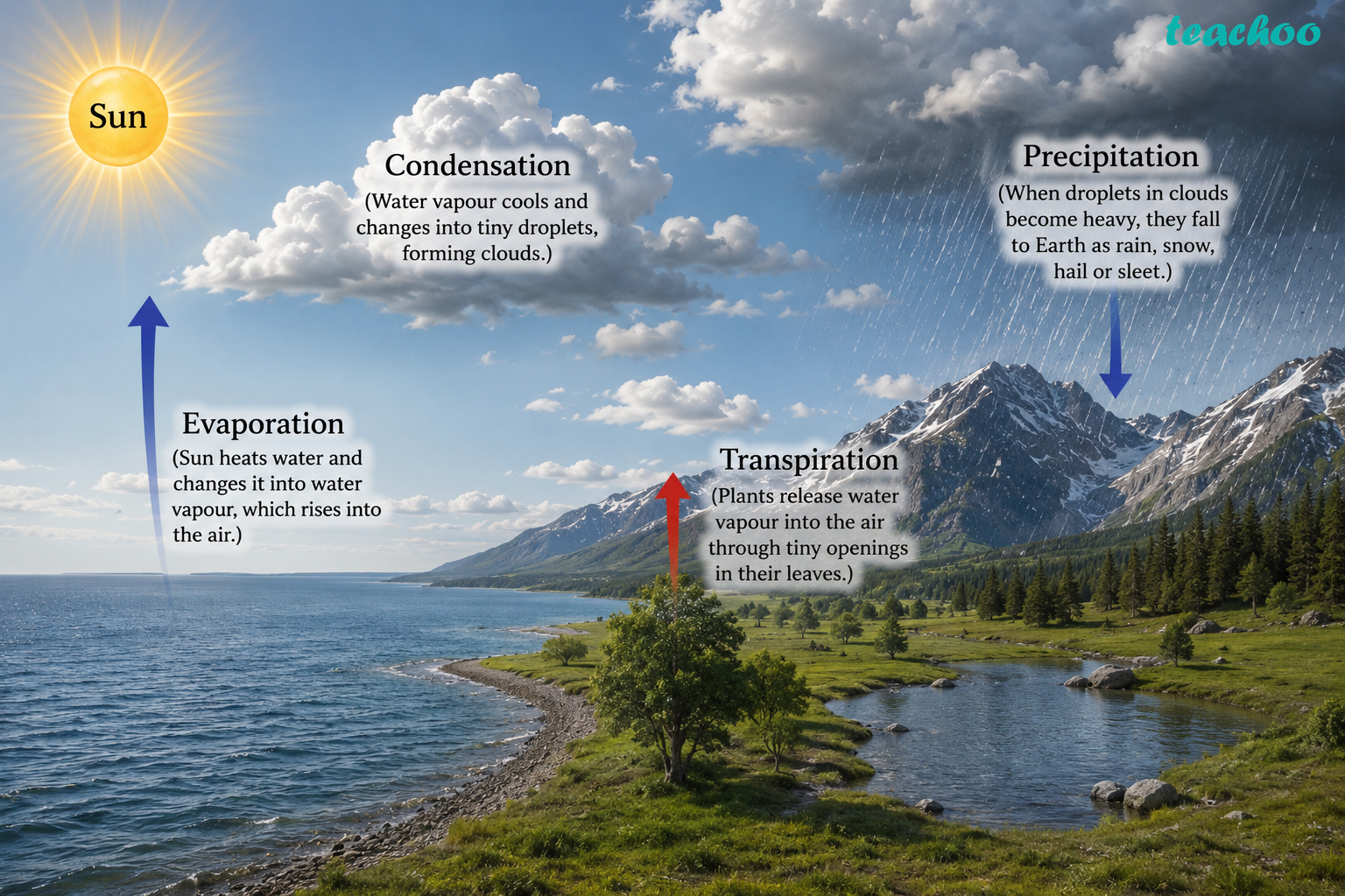 7.4 Water Cycle - Heat Transfer in Natur - Class 7 (Curiosity - Concepts