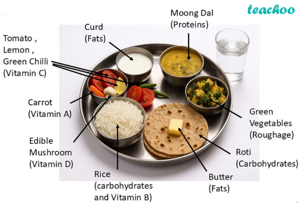 6.4.1 Meeting Nutritional Needs - Adolescence: A Stage o - Class 7 (Cu - Concepts
