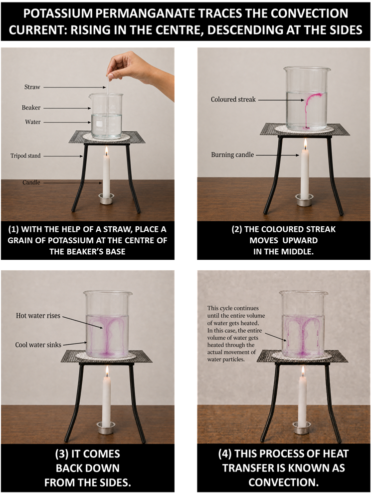 Image: A beaker of water on a tripod stand over a candle, with a potassium permanganate crystal at the bottom centre releasing a purple streak that rises upward through the middle of the water and curls down at the sides &mdash; tracing the convection current pattern in the water