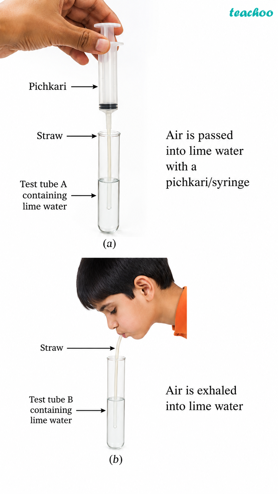 part 6 - 9.2.1 Respiration in Humans - Concepts - Chapter 9 Class 7 - Life Processes in Animals (Curiosity) - Class 7 (Curiosity)