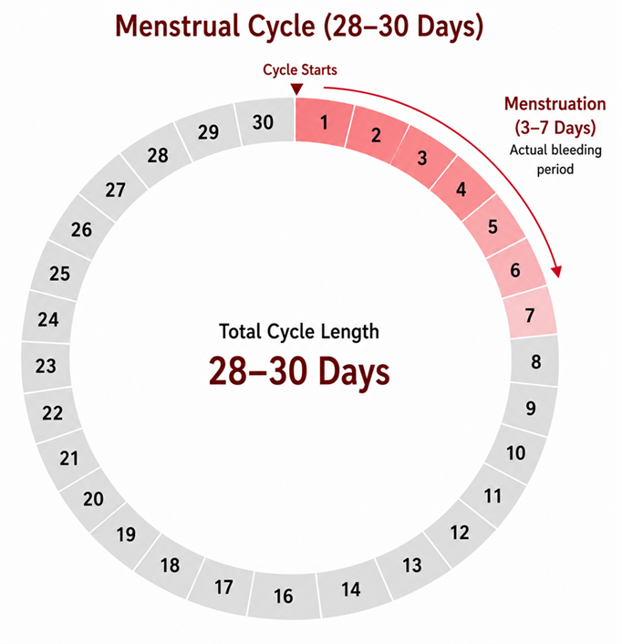 6.2 Changes that Indicate Reprod - Adolescence: A Stage o - [Teachoo] - Concepts