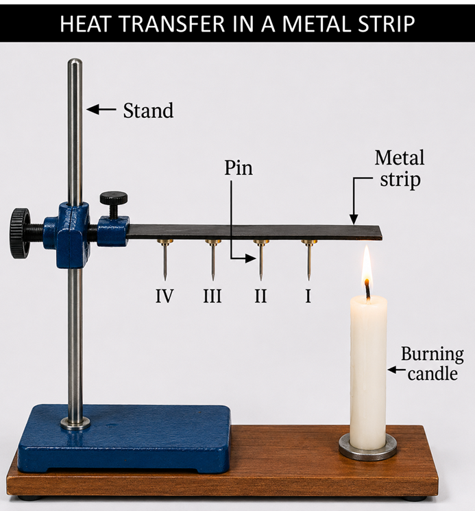 Image: A 15 cm aluminium or iron strip clamped horizontally with four pins I II III IV attached with wax at 2 cm intervals, and a candle flame at one end &mdash; showing the setup for the conduction experiment where pins fall one by one as the wax melts from the heated end toward the cooler end