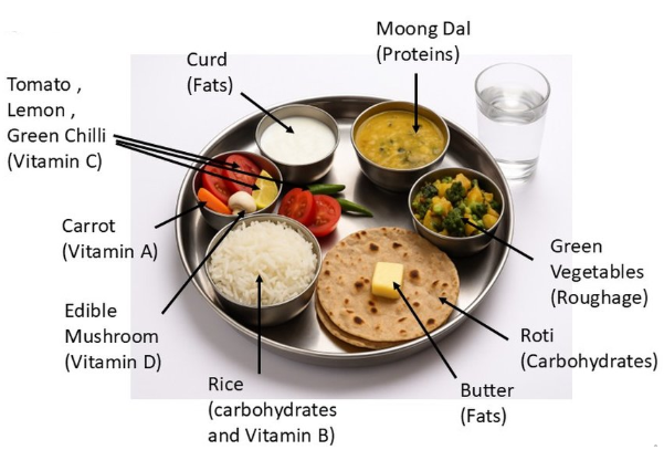 6.4.1 Meeting Nutritional Needs - Adolescence: A Stage o - [Teachoo] - Concepts