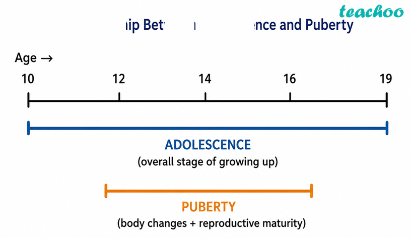 part 5 - 6.1 Growing With Age: The Teenage Years - Concepts - Chapter 6 Class 7 - Adolescence: A Stage of Growth and Change (Curiosi - Class 7 (Curiosity)