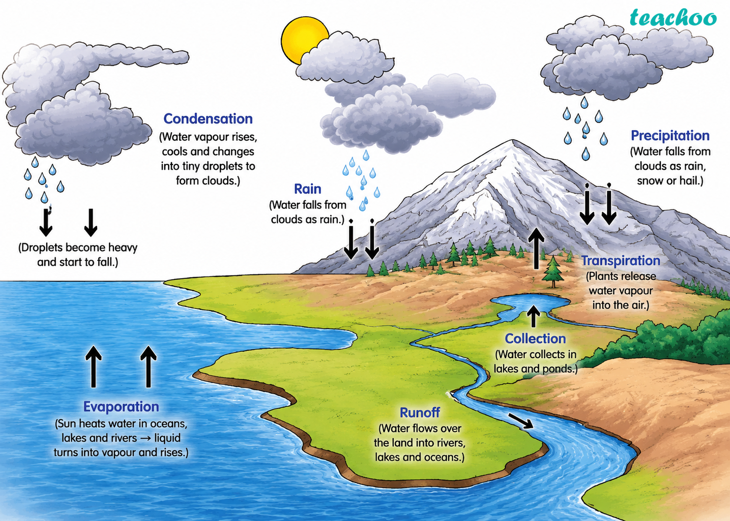 part 2 - 7.4 Water Cycle - Concepts - Chapter 7 Class 7 - Heat Transfer in Nature (Curiosity) - Class 7 (Curiosity)