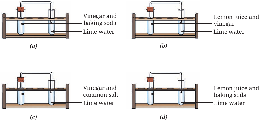 Question 10 - Lime Water Tests: - Changes Around Us: Phy - [Teachoo] - Questions at the end of the chapter