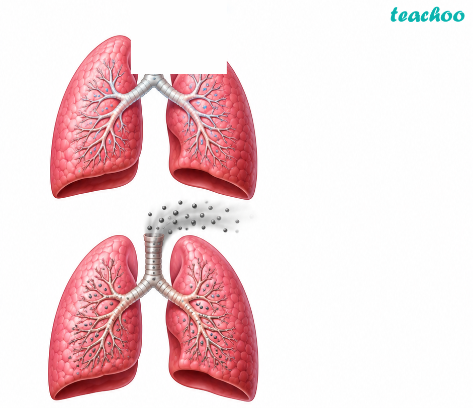 part 9 - 9.2.1 Respiration in Humans - Concepts - Chapter 9 Class 7 - Life Processes in Animals (Curiosity) - Class 7 (Curiosity)