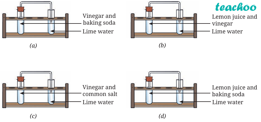Question 10 - Lime Water Tests: - Changes Around Us: Phy - Class 7 (Cu - Questions at the end of the chapter