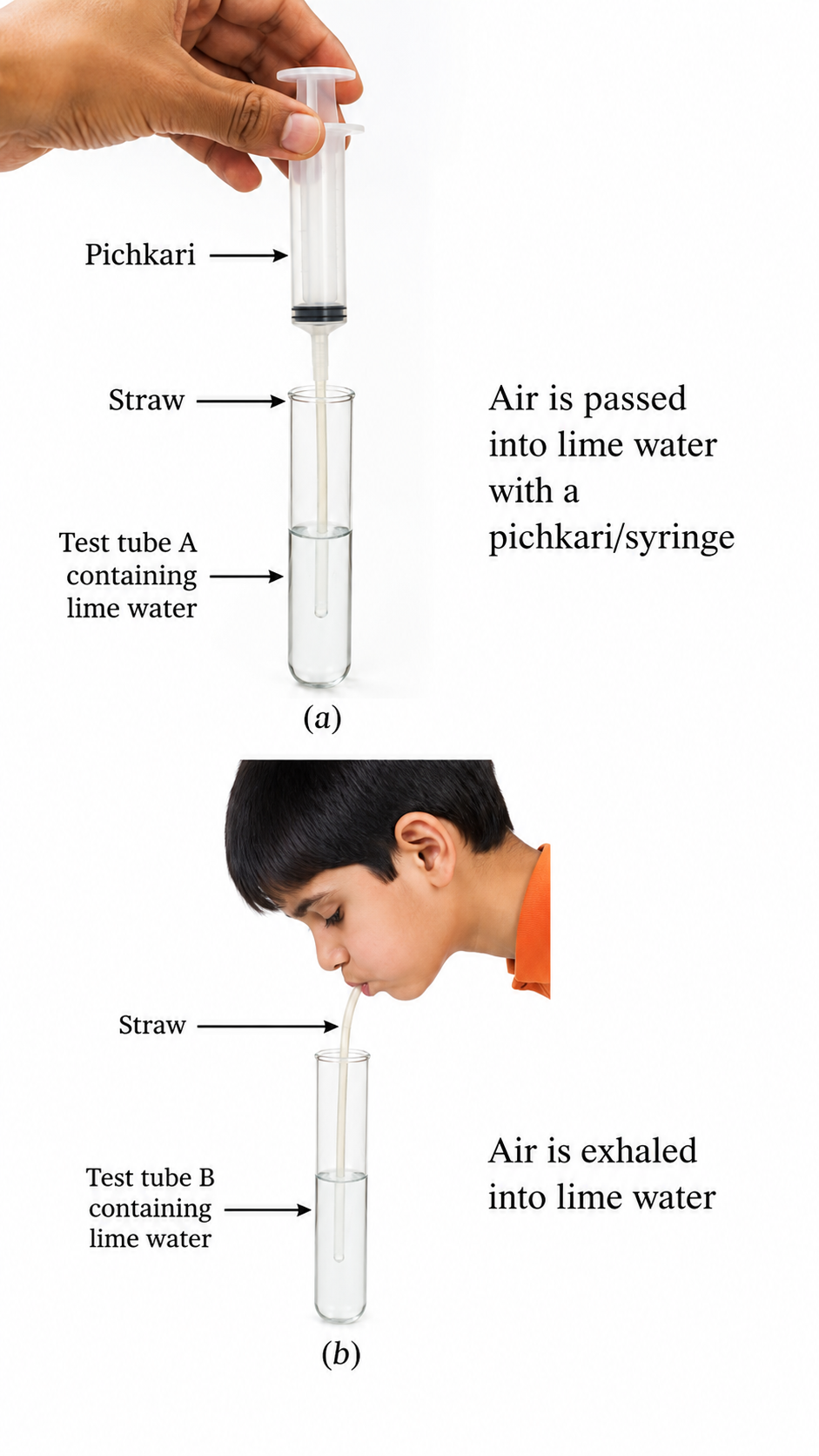 part 6 - 9.2.1 Respiration in Humans - Concepts - Chapter 9 Class 7 - Life Processes in Animals (Curiosity) - Class 7